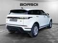 Land Rover Range Rover Evoque 2ª serie Range Rover Evoque 2.0D I4 163 CV R-Dyna Weiß - thumbnail 5