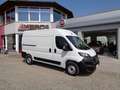 Fiat Ducato 35 L2H2 140 Kasten 1470kg NUTZLAST Weiß - thumbnail 2