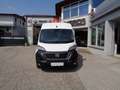 Fiat Ducato 35 L2H2 140 Kasten 1470kg NUTZLAST Weiß - thumbnail 3