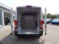Fiat Ducato 35 L2H2 140 Kasten 1470kg NUTZLAST Weiß - thumbnail 8