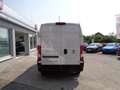 Fiat Ducato 35 L2H2 140 Kasten 1470kg NUTZLAST Weiß - thumbnail 4