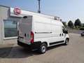 Fiat Ducato 35 L2H2 140 Kasten 1470kg NUTZLAST Weiß - thumbnail 6