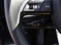 Audi A4 Avant 40 TFSI advanced Business Kamera ACC Grau - thumbnail 20