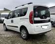 Fiat Doblo 1.4 tjt 16v natural power Lounge 120cv 7p.ti Bianco - thumbnail 4
