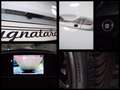Kia Sportage Sportage IV 2021 1.6 Crdi Mhev GT Line 2wd Tetto Bianco - thumbnail 6