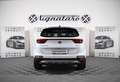 Kia Sportage Sportage IV 2021 1.6 Crdi Mhev GT Line 2wd Tetto Bianco - thumbnail 4