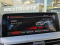 BMW X3 X3 xDrive30e / Leder / Navi /Camera / Lane assist Grigio - thumbnail 30