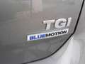 Volkswagen Golf 1.4 TGI DSG 5p. Executive BlueMotion Grigio - thumbnail 5