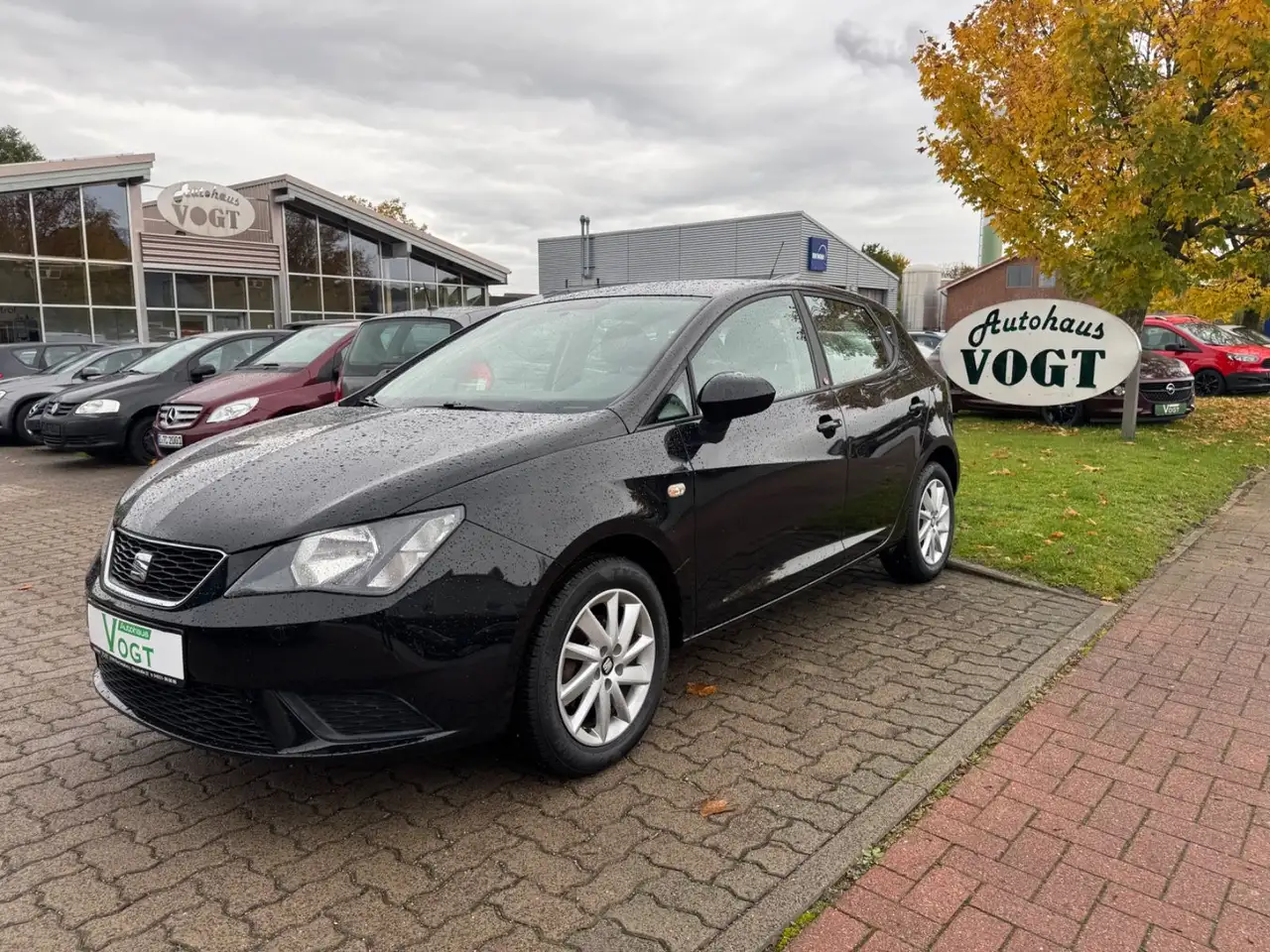 Seat Ibiza