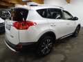 Toyota RAV 4 2.0 D-4D 4x4 124 CV Alu 18 Bianco - thumbnail 4