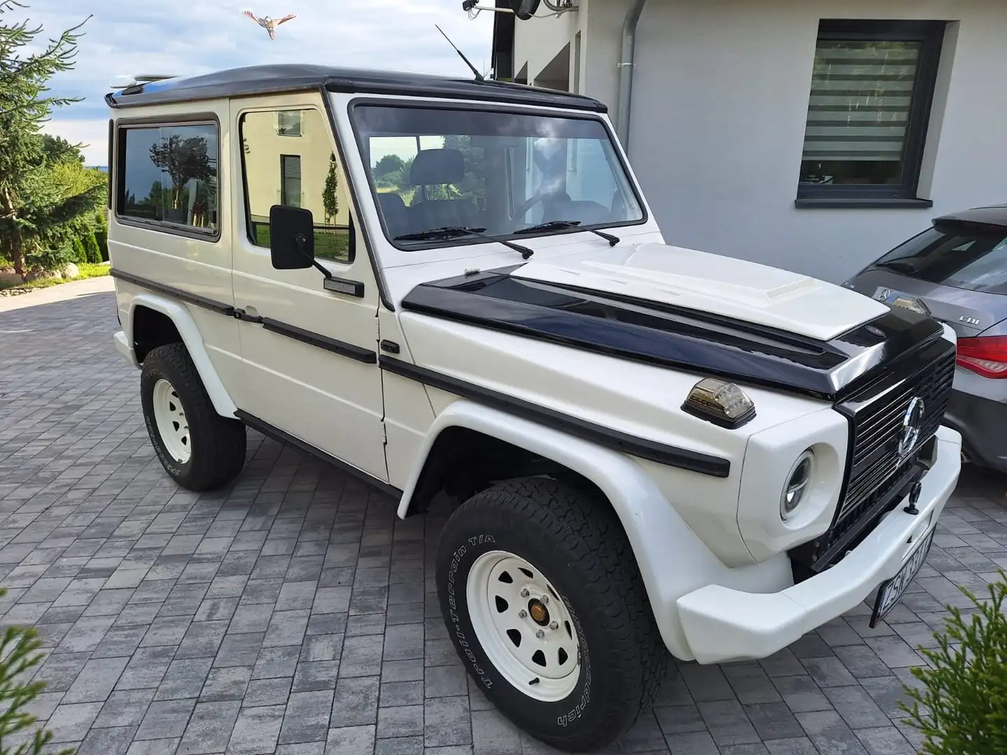 Mercedes-Benz G 250 250 GD Wit - 2