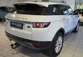 Land Rover Range Rover Evoque Pure Tech 2,2 TD4 --Anhängerkupplung 13-polig-- Weiß - thumbnail 8