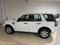 Land Rover Freelander 2.2 sd4 SE 190cv auto - thumbnail 2