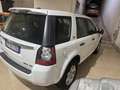 Land Rover Freelander 2.2 sd4 SE 190cv auto - thumbnail 9