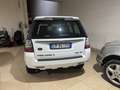 Land Rover Freelander 2.2 sd4 SE 190cv auto - thumbnail 5