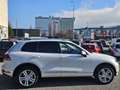 Volkswagen Touareg Sport Austria V6 TDI BMT 4Motion Aut.Piclerl + ... Weiß - thumbnail 4