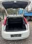 Fiat Punto Evo 1.2 8V Easy Beyaz - thumbnail 10