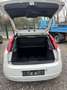 Fiat Punto Evo 1.2 8V Easy White - thumbnail 10