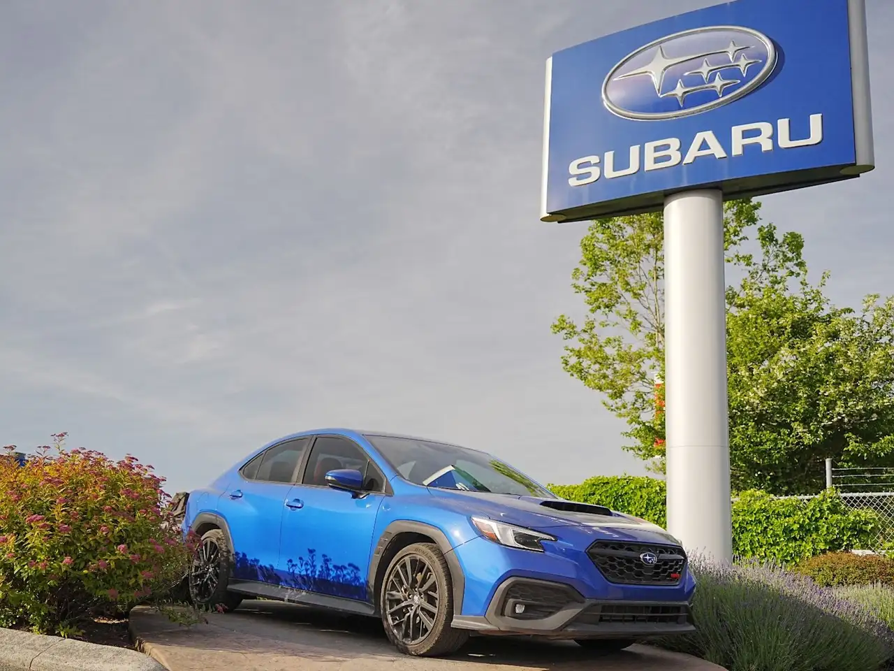 2025 Subaru WRX