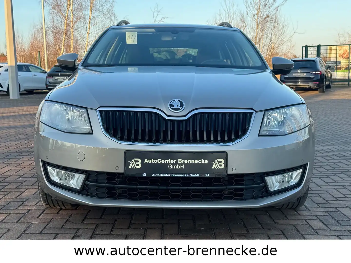 Skoda Octavia Combi Ambition*AHK*8-fach bereift* Beige - 2