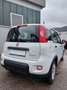 Fiat Panda +DAB.+ALLWETTER+KLIMA+V.Historie+1Hand Weiß - thumbnail 7