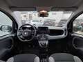 Fiat Panda +DAB.+ALLWETTER+KLIMA+V.Historie+1Hand Weiß - thumbnail 14
