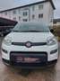 Fiat Panda +DAB.+ALLWETTER+KLIMA+V.Historie+1Hand Weiß - thumbnail 2
