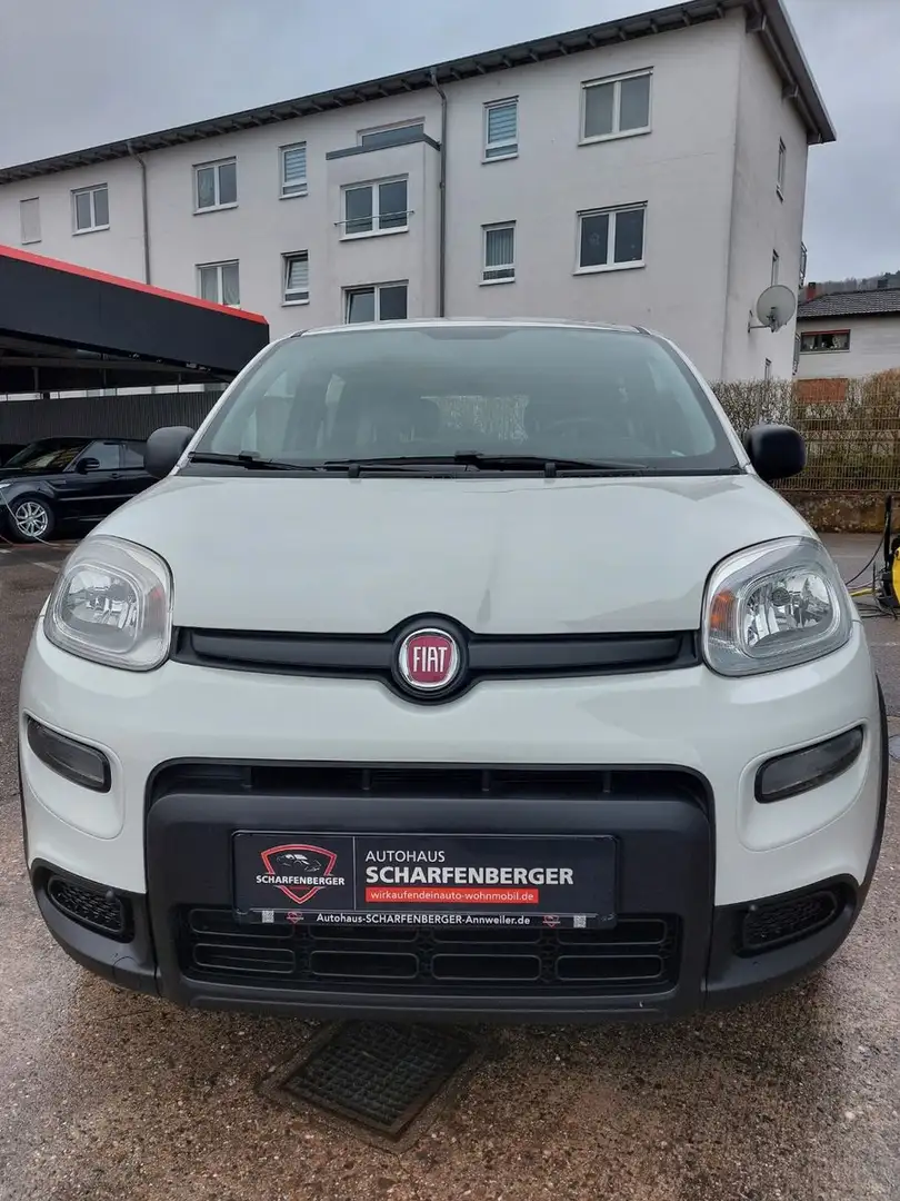 Fiat Panda +DAB.+ALLWETTER+KLIMA+V.Historie+1Hand Weiß - 2