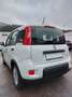 Fiat Panda +DAB.+ALLWETTER+KLIMA+V.Historie+1Hand Weiß - thumbnail 11