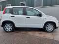 Fiat Panda +DAB.+ALLWETTER+KLIMA+V.Historie+1Hand Weiß - thumbnail 4