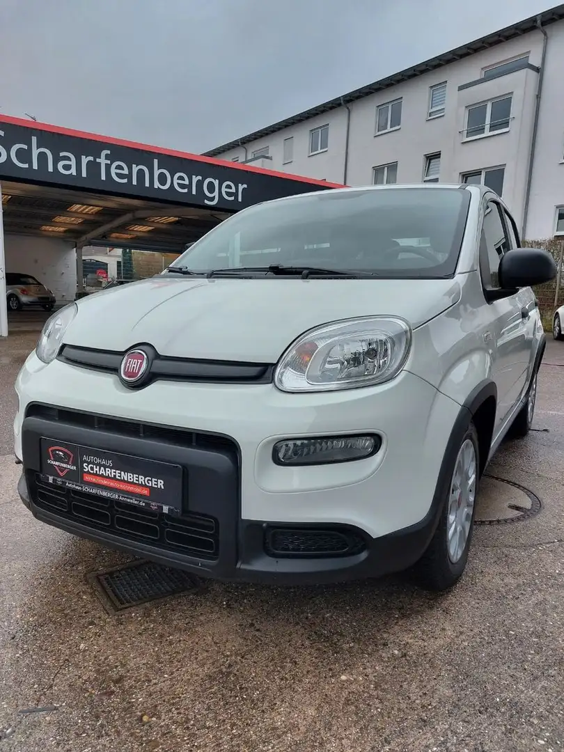Fiat Panda +DAB.+ALLWETTER+KLIMA+V.Historie+1Hand Weiß - 1