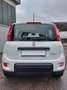 Fiat Panda +DAB.+ALLWETTER+KLIMA+V.Historie+1Hand Weiß - thumbnail 8