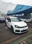 Volkswagen Golf Golf 2.0 TSI 4mot. DSG 5p. R Bianco - thumbnail 1