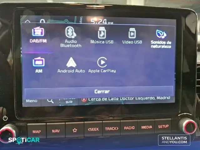 Kia Stonic view 15