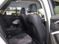 Audi Q3 SPORTBACK 35 TDI DESIGN S-LINE / VC / LED / Weiß - thumbnail 19