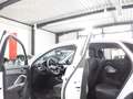 Audi Q3 SPORTBACK 35 TDI DESIGN S-LINE / VC / LED / Weiß - thumbnail 17
