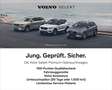 Volvo EX30 Plus Pure Electric Extended Range *0,99%eff Weiß - thumbnail 14