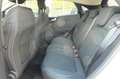 Ford Puma Titanium, Navi, RFK, Wi-Pa, PPS, LMF Weiß - thumbnail 7