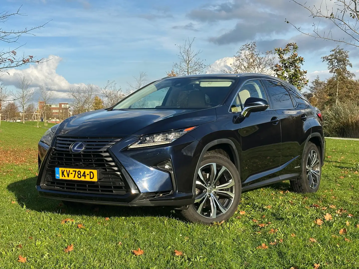Lexus RX 450h RX450h Luxury Line 3.5 V6 Hybrid- CarPlay|DealerOH Azul - 1