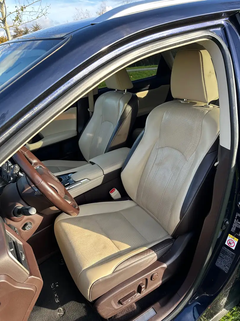 Lexus RX 450h RX450h Luxury Line 3.5 V6 Hybrid- CarPlay|DealerOH Azul - 2