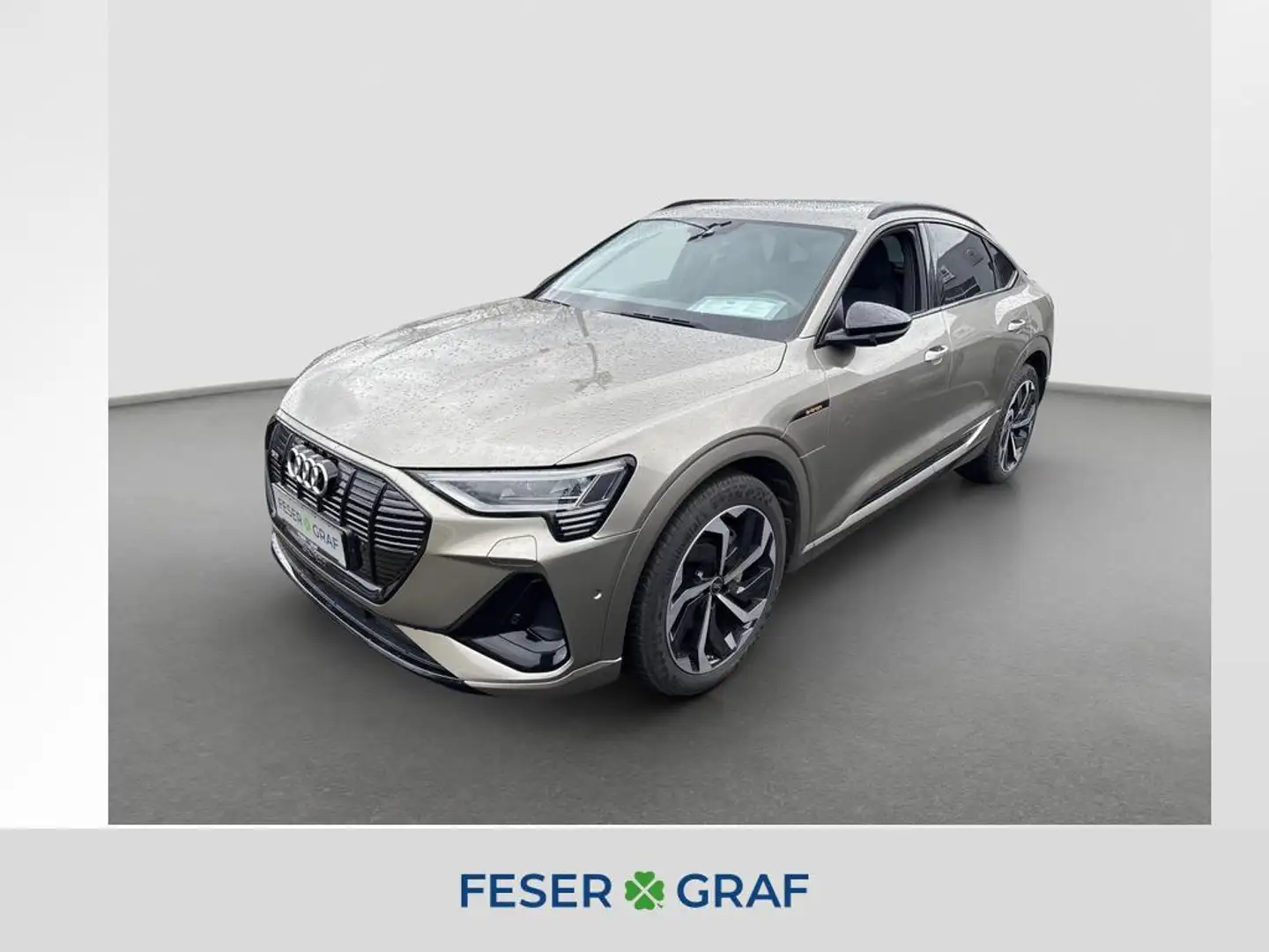 Audi e-tron 55 Sportback S-line MatrixLED Leder HuD Bronze - 1