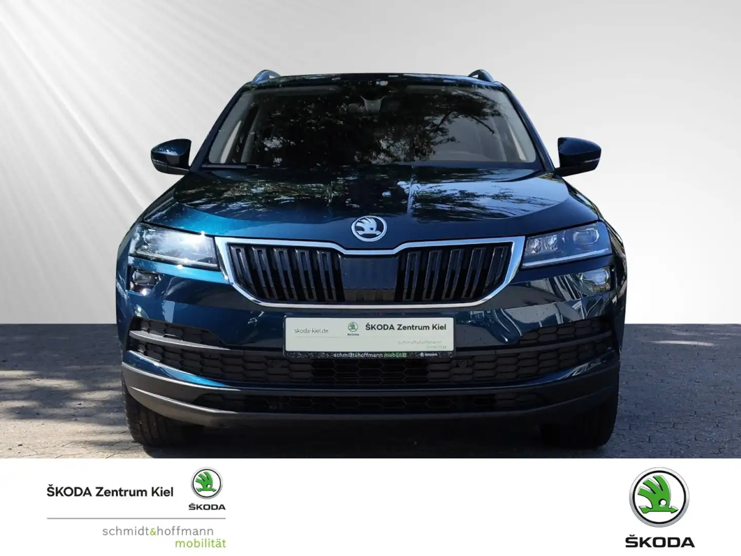 Skoda Karoq 2.0 TDI Ambition Klima Navi Einparkhilfe Bleu - 2
