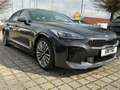 Kia Stinger 2.2 CRDi GT-Line ACC+LED+Navi+SHZ+4xSHZ Schwarz - thumbnail 5