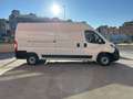 Fiat Ducato L3 H2 140 CV Weiß - thumbnail 5