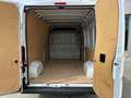 Fiat Ducato L3 H2 140 CV Weiß - thumbnail 7