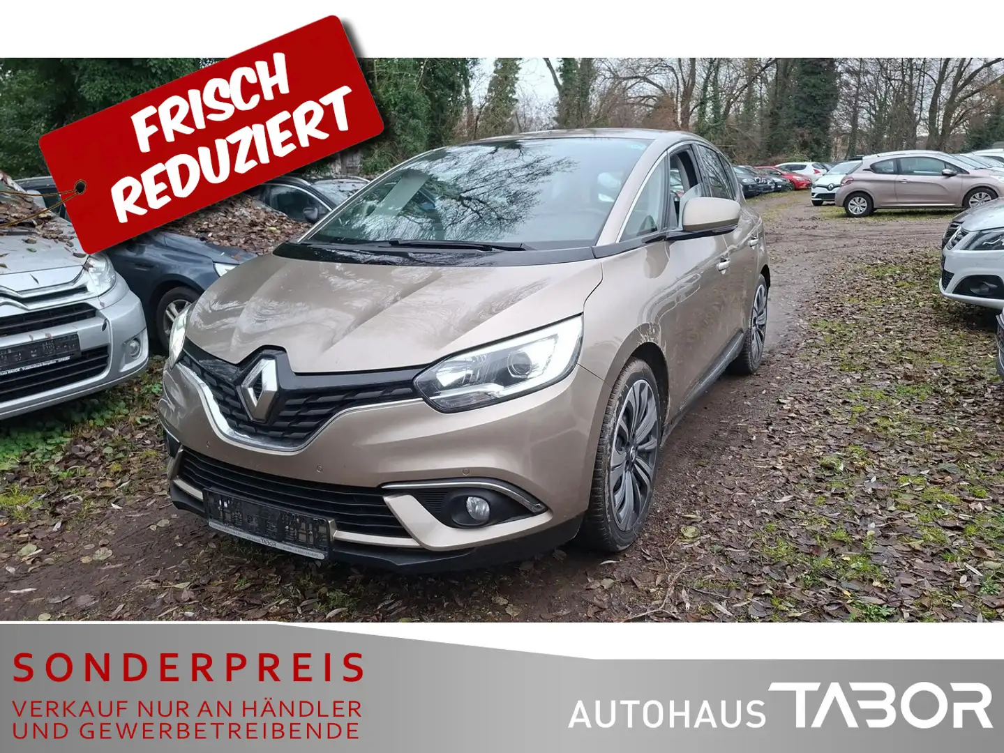 Renault Scenic 1.2 TCe 132 Intense LM Navi Klimaaut. VZE Beige - 1