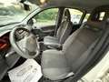 Fiat Panda 1.2 4x4 CLIMBING ***UNICA PROPRIETARIA*** Grigio - thumbnail 8