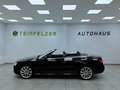 Audi A5 Cabriolet 3.0 TDI / S LINE / LEDER / BI-XENON Schwarz - thumbnail 5