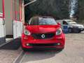 smart forFour Forfour 0.9 t Passion 90cv "neopatentati" Rouge - thumbnail 1