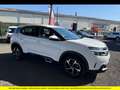 Citroen C5 Aircross Feel Weiß - thumbnail 3